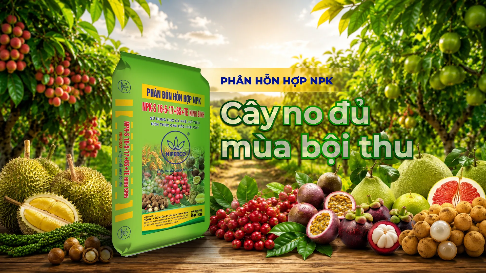 Phân hỗn hợp NPK