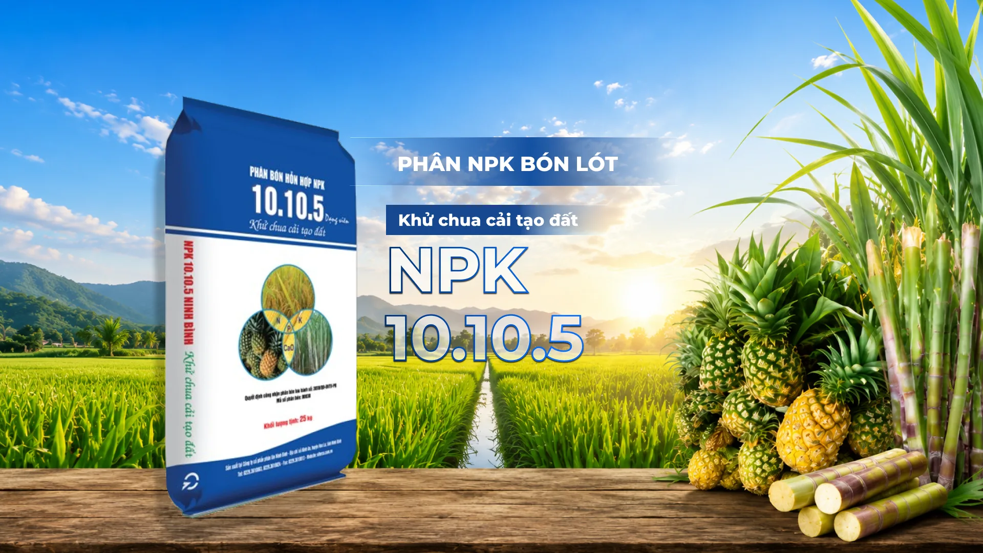 Phân NPK bón lót