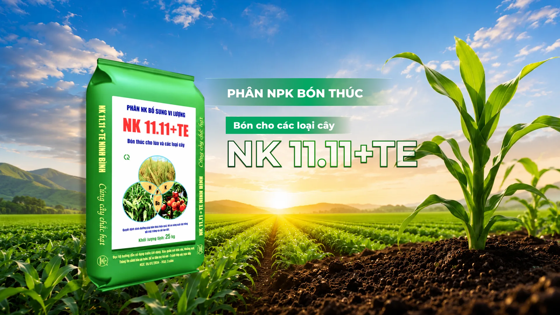 Phân NPK bón thúc