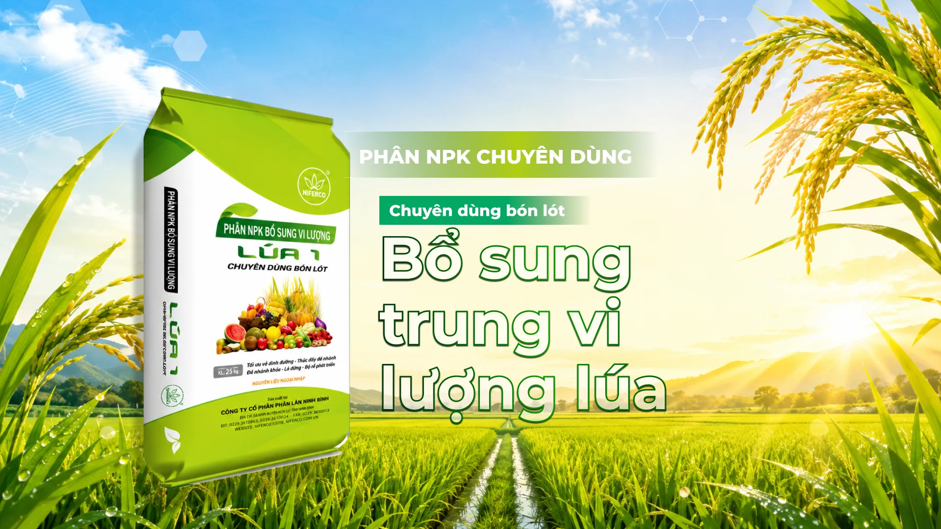 Phân NPK chuyên dùng